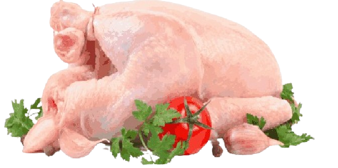 Middle Eastern Fries - best restaurant in jhang